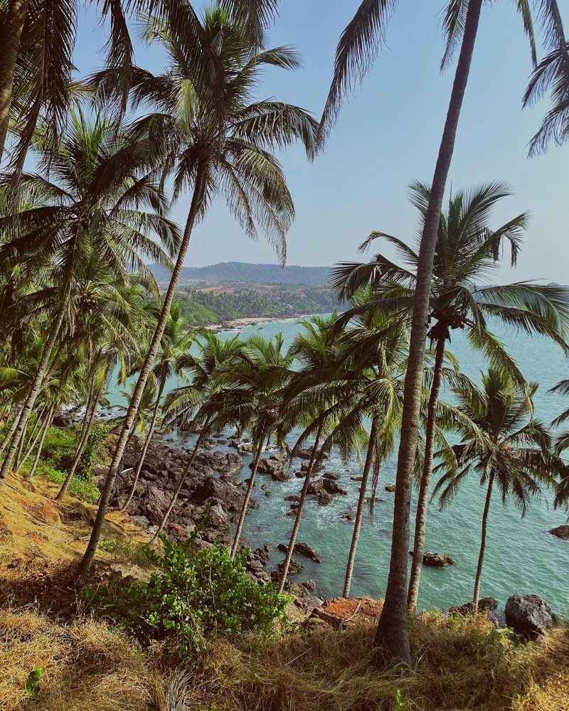 Southern Coast