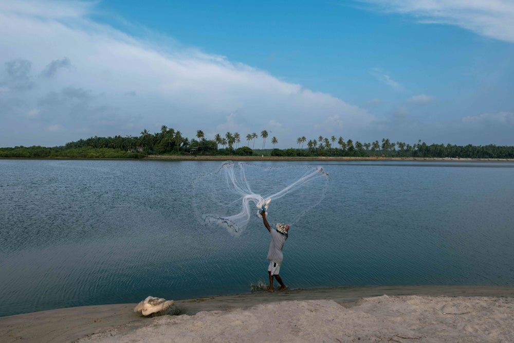 Casting Nets