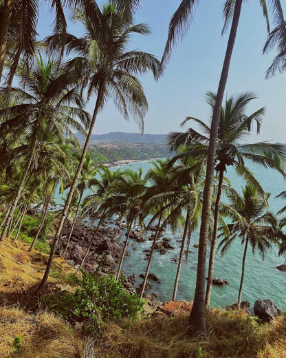 Southern Coast