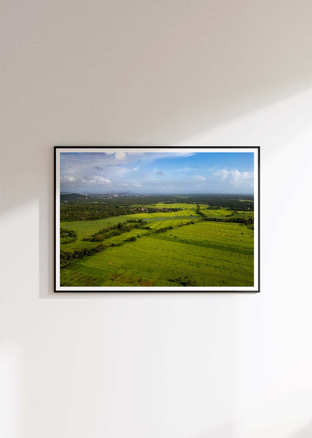 Fields
