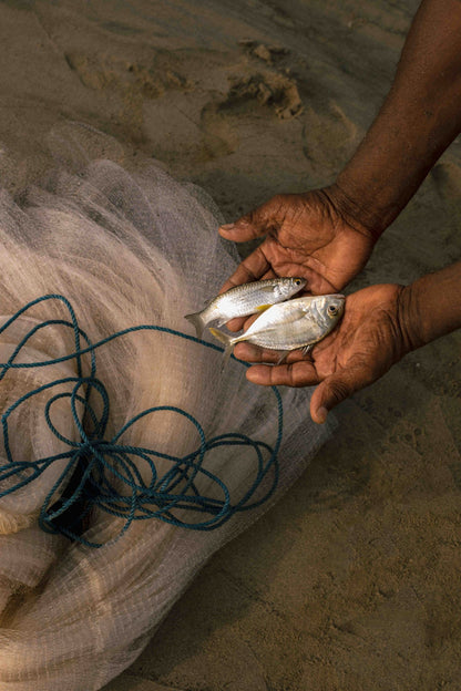 Fisherman's Life