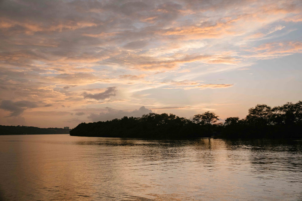 Backwater Bliss